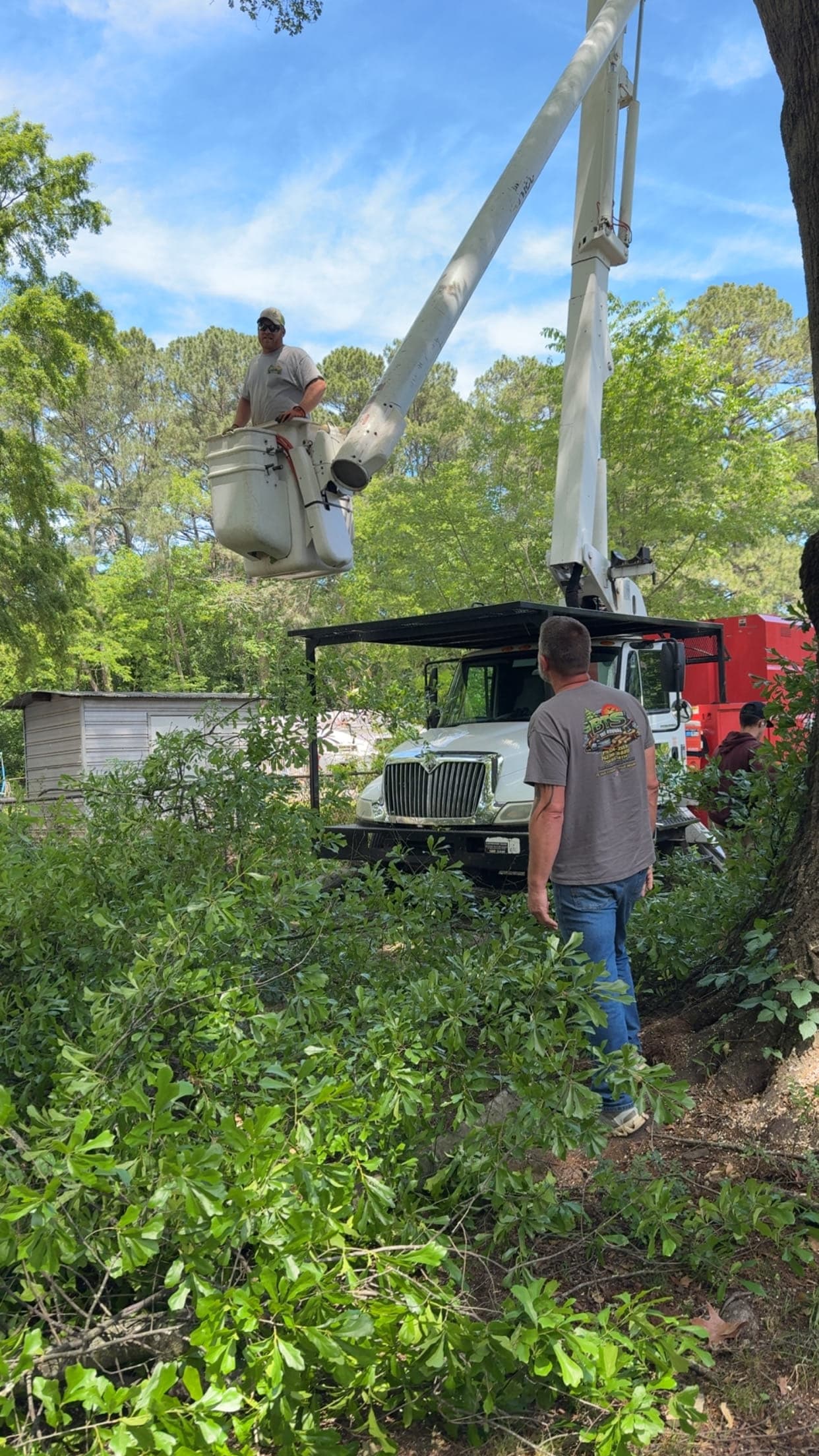 BTS Tree Removal crew working from the bucket truck on a tree service job
