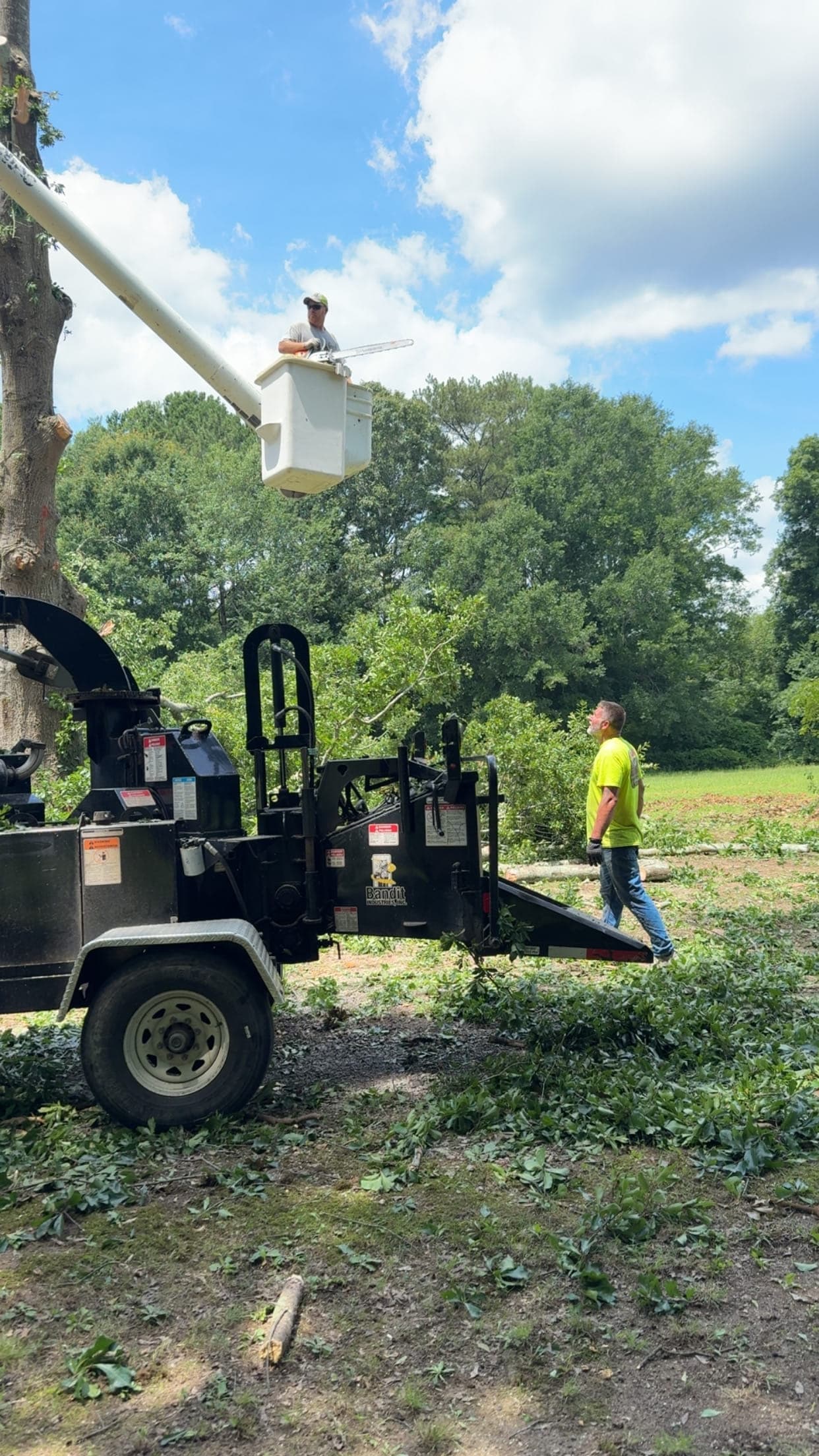 BTS Tree Removal bucket truck and wood chipper on a tree service job