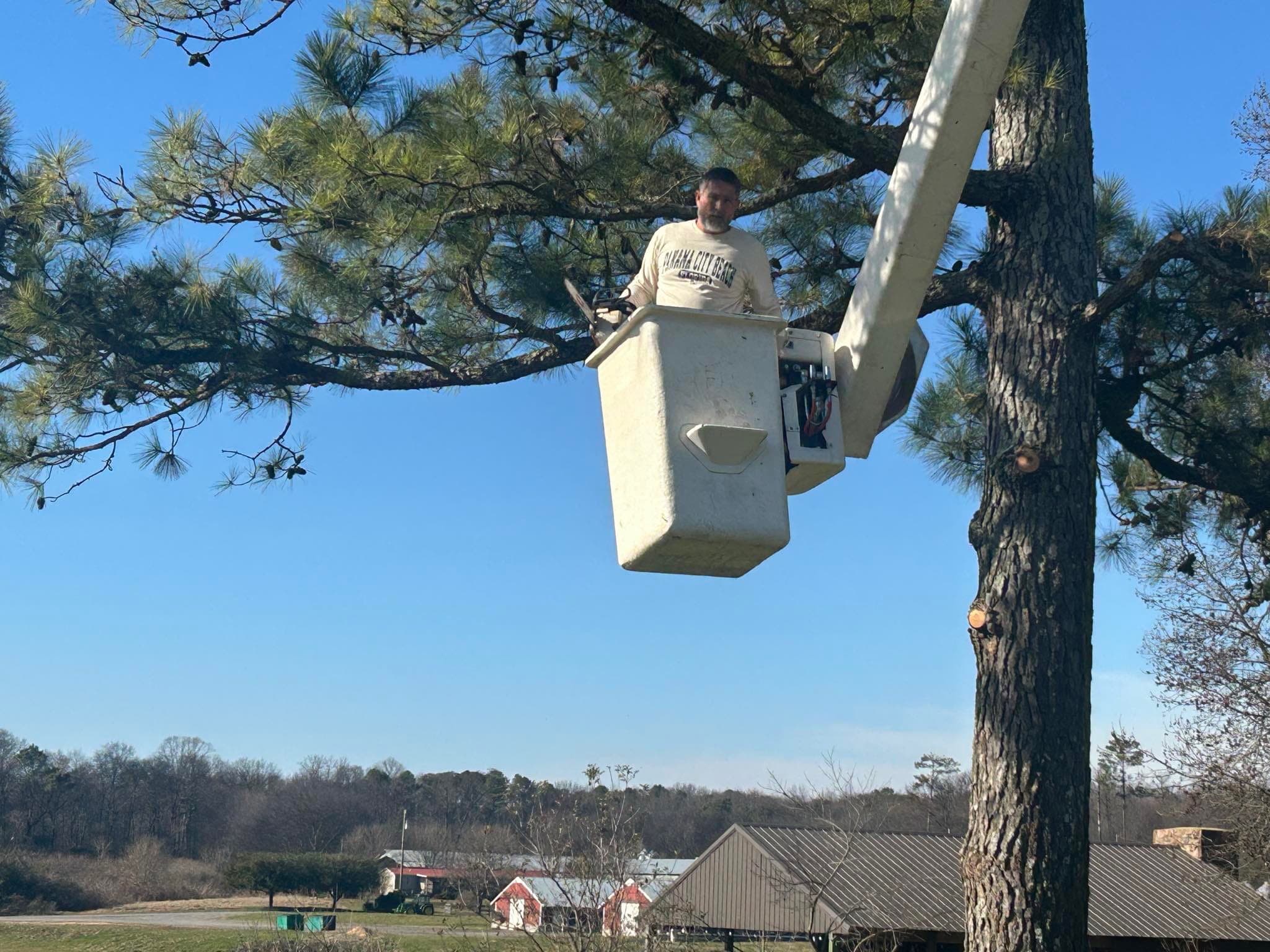 Bucket truck trimming a pine tree on a North Georgia farm property