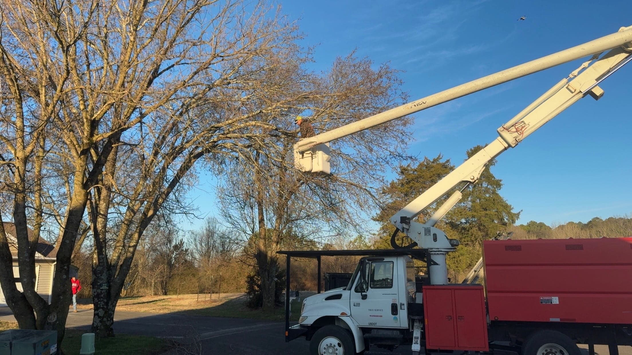 BTS Tree Removal bucket truck trimming a roadside tree