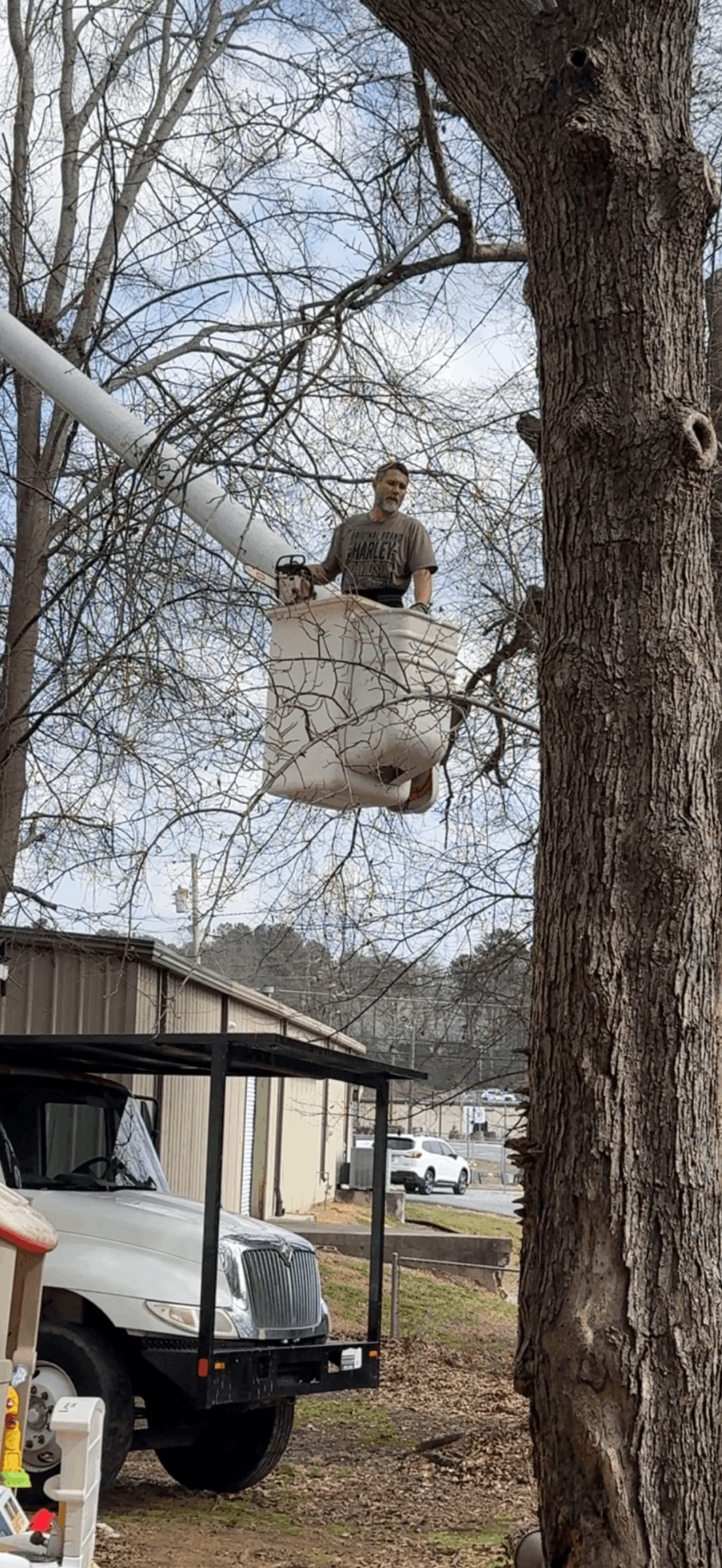 BTS Tree Removal bucket truck on a winter tree removal job
