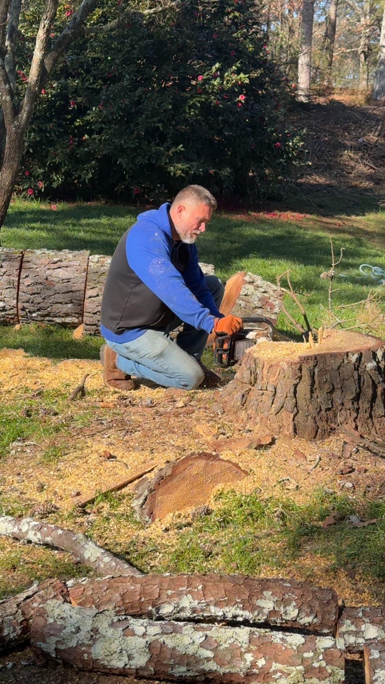 BTS Tree Removal cutting a stump down after a tree removal